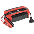 Projecta Red and black battery charger with clamps and plug.