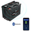 VoltGo Elite Series 12.8V 100Ah LiFePO4 Lithium Battery with Bluetooth IP65"